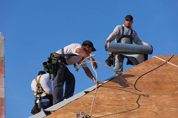 Best Storm Damage Roof Repair  in Nolanville, TX