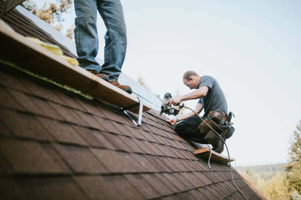 Professional Roofing Contractor in Nolanville, TX